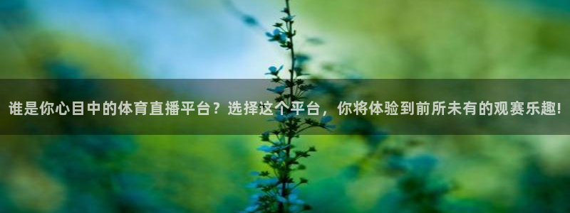 谁是你心目中的体育直播平台？选择这个平台，你将体验到前所未有的观赛乐趣!