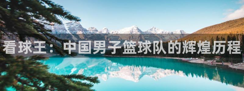 看球王：中国男子篮球队的辉煌历程