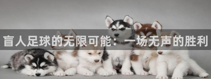 盲人足球的无限可能：一场无声的胜利