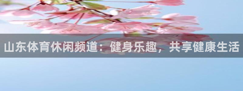 山东体育休闲频道：健身乐趣，共享健康生活