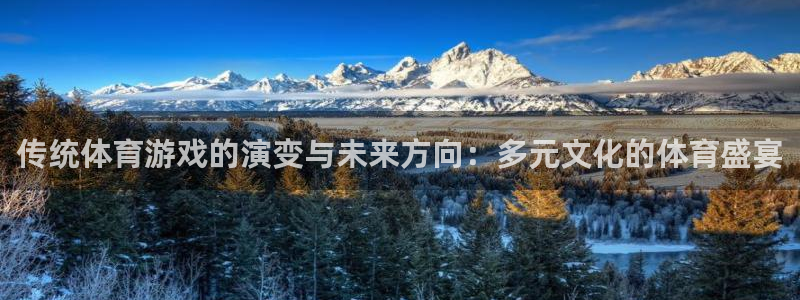 传统体育游戏的演变与未来方向：多元文化的体育盛宴