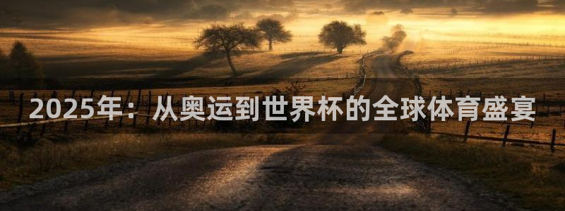 2025年：从奥运到世界杯的全球体育盛宴