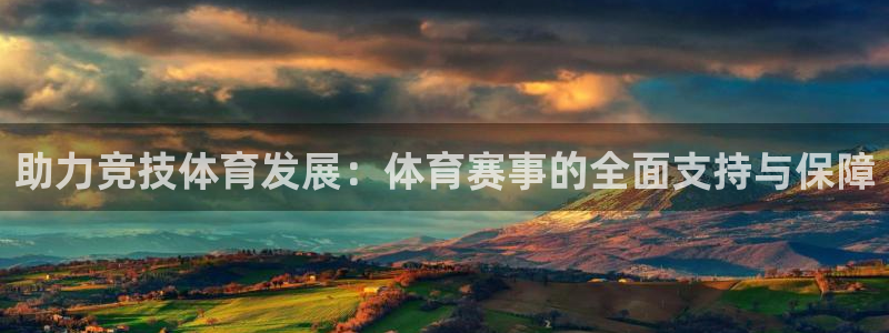 助力竞技体育发展：体育赛事的全面支持与保障
