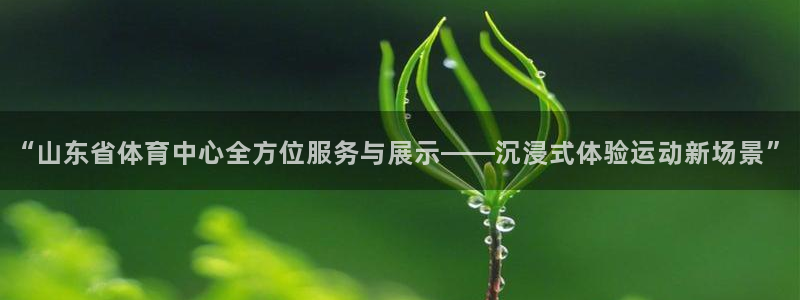 “山东省体育中心全方位服务与展示——沉浸式体验运动新场景”