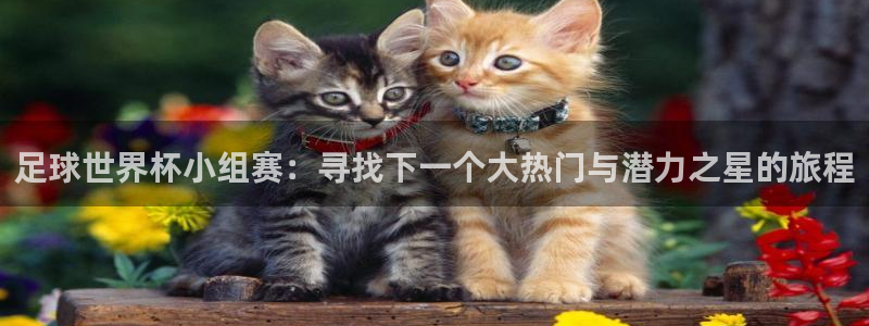足球世界杯小组赛：寻找下一个大热门与潜力之星的旅程