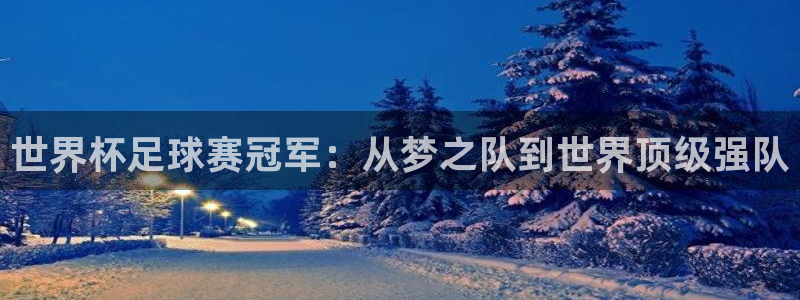 世界杯足球赛冠军：从梦之队到世界顶级强队