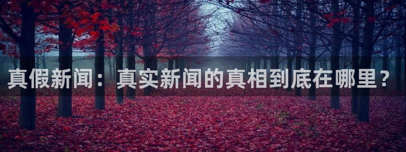 真假新闻：真实新闻的真相到底在哪里？