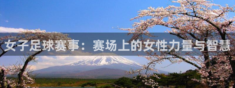 女子足球赛事：赛场上的女性力量与智慧
