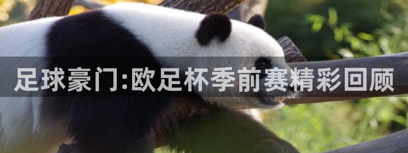 足球豪门:欧足杯季前赛精彩回顾