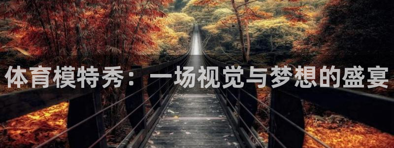 体育模特秀：一场视觉与梦想的盛宴