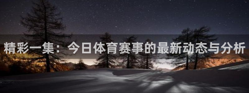 精彩一集：今日体育赛事的最新动态与分析